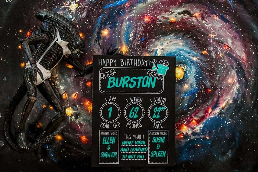 The Alien Maternity Photoshoot Xenomorph Turns One The Alien Maternity Photoshoot Xenomorph Turns One