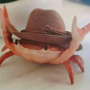 andrew-broadhurst avatar