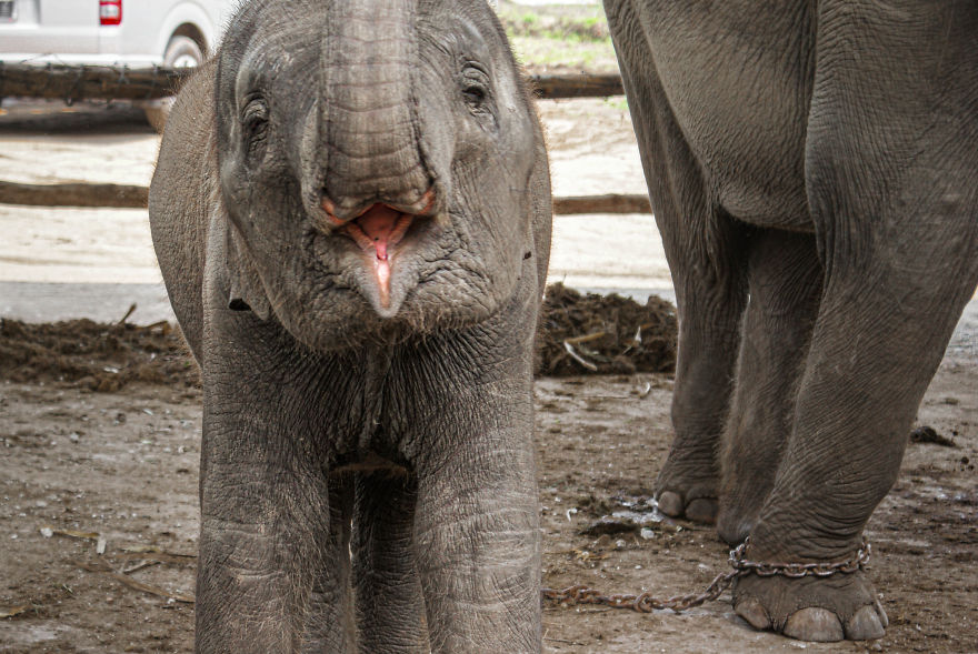 These Photographs Show The Beauty And The Drama Of Tourism In Thailand These Photographs Show The Beauty And The Drama Of Tourism In Thailand