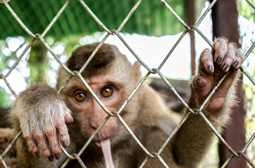These Photographs Show The Beauty And The Drama Of Tourism In Thailand
