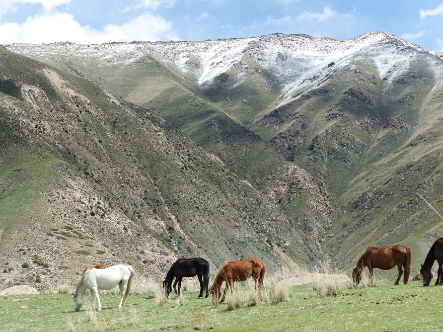 At 22 Years Old, I Came Alone In Kyrgyzstan To Meet Nomadic People In The Mountains