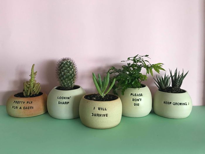 I Make Ceramic Planters With Sassy Botanical Puns (18 Pics)