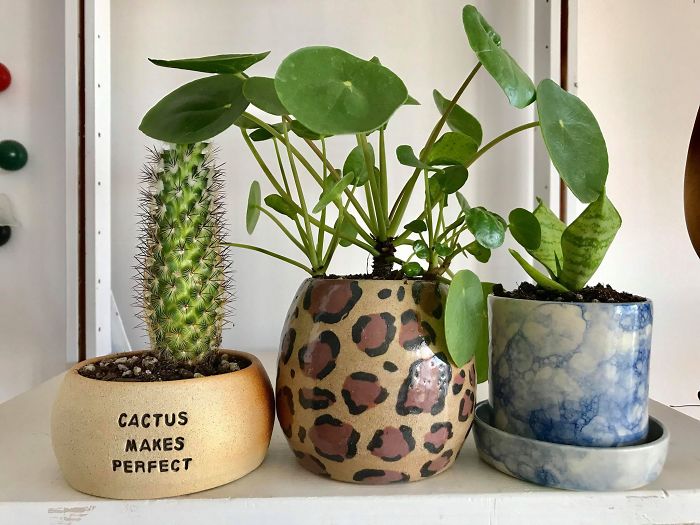 I Make Ceramic Planters With Sassy Botanical Puns (18 Pics)
