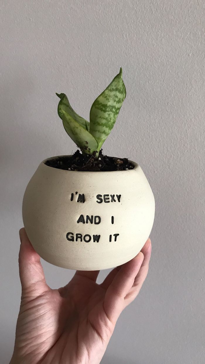 I Make Ceramic Planters With Sassy Botanical Puns (18 Pics)