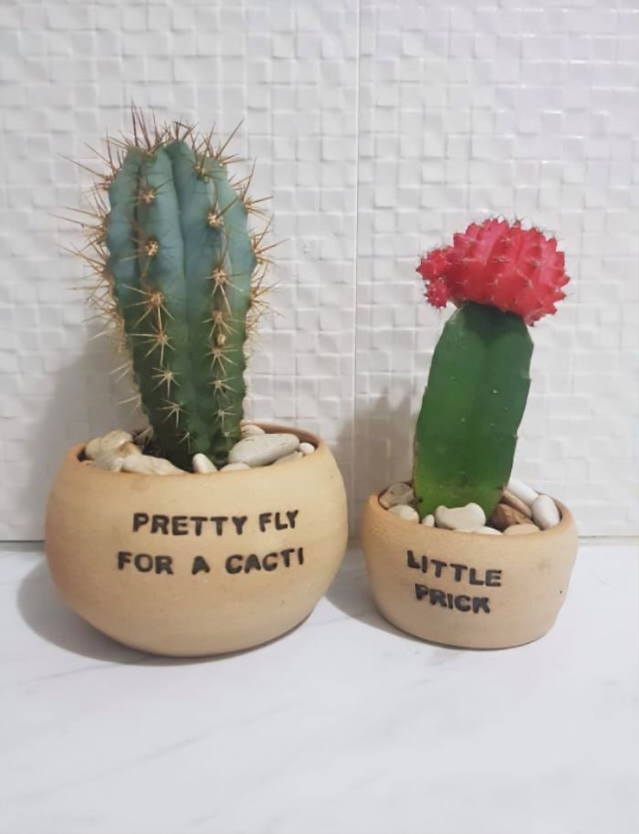 I Make Ceramic Planters With Sassy Botanical Puns (18 Pics)