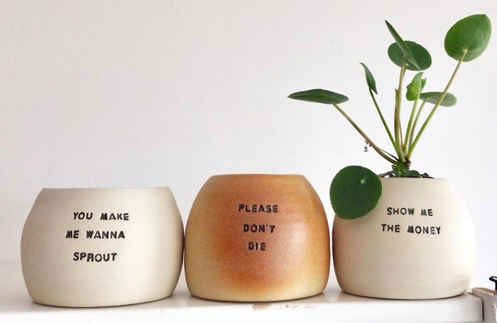 I Make Ceramic Planters With Sassy Botanical Puns (18 Pics)