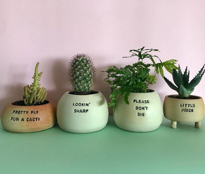 I Make Ceramic Planters With Sassy Botanical Puns (18 Pics)