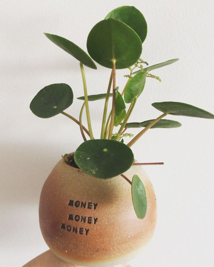 I Make Ceramic Planters With Sassy Botanical Puns (18 Pics)