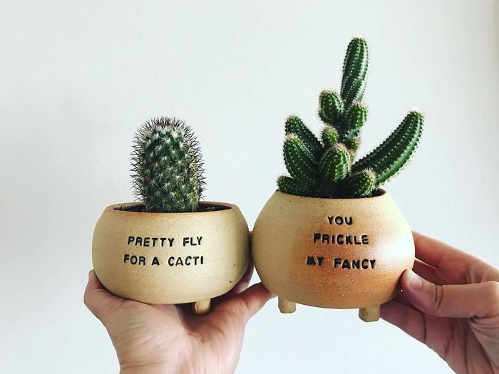 I Make Ceramic Planters With Sassy Botanical Puns (18 Pics)