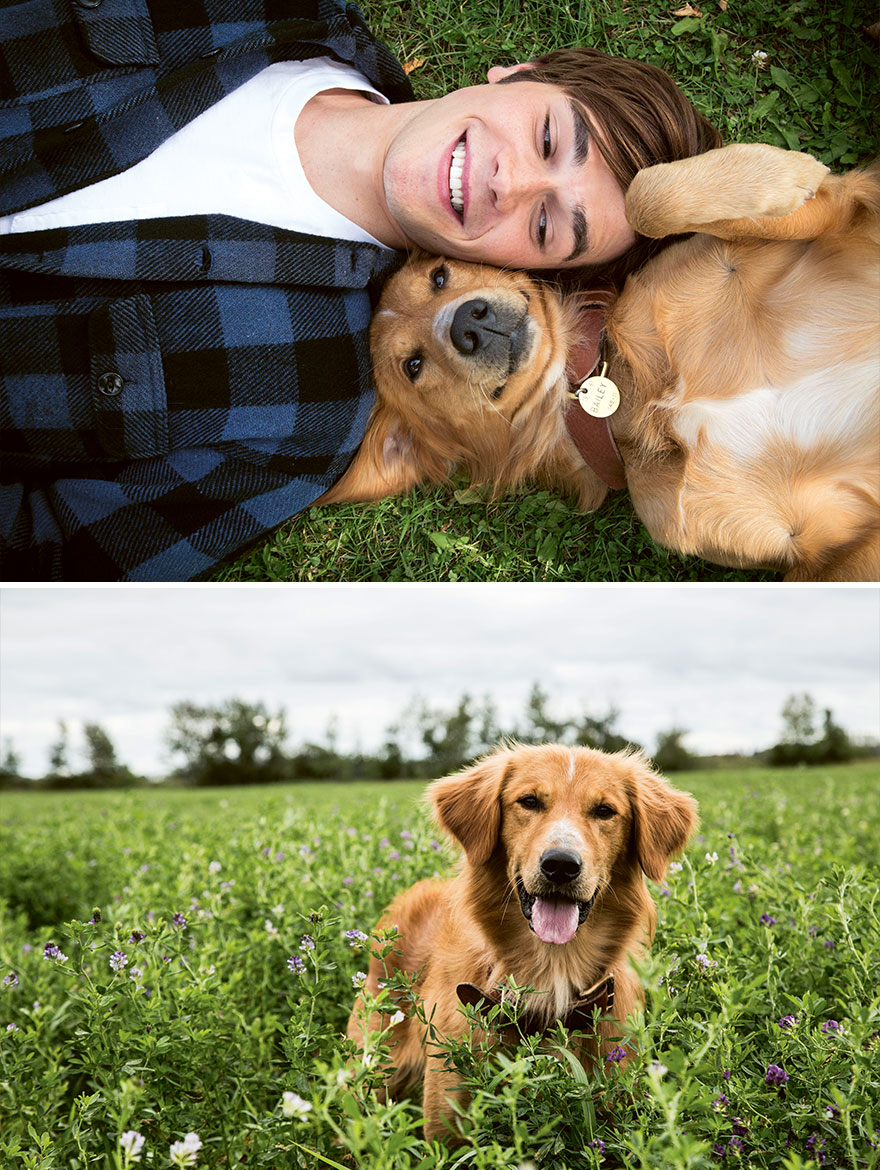 Bailey (Red Retriever), A Dog’s Purpose, 2017