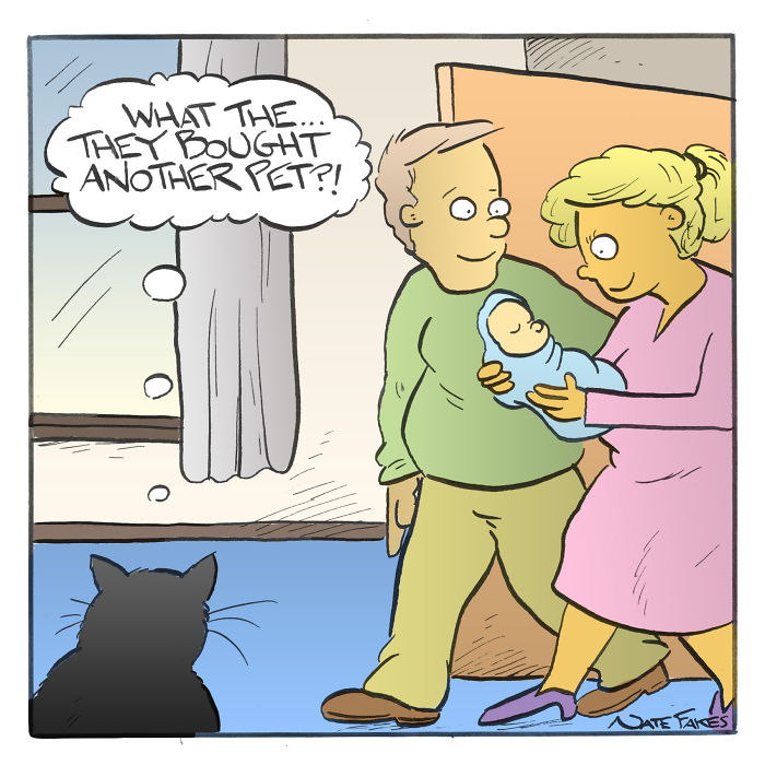 Cat owner comic showing a cat reacting with surprise to a couple bringing home a newborn baby as a new pet.