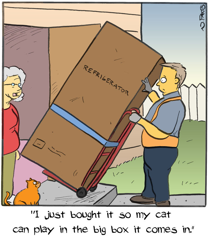 Cartoon showing a man delivering a refrigerator box for a cat to play in, depicting relatable cat owner humor.