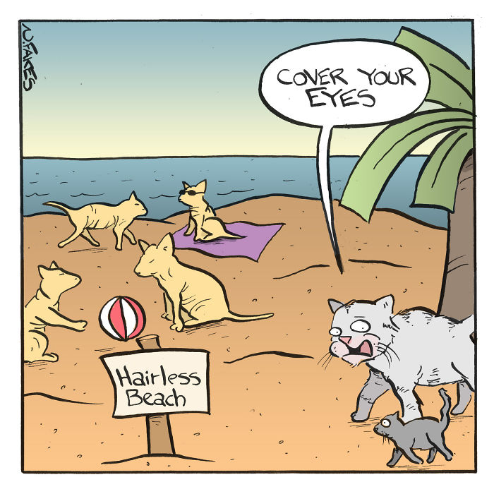 Cartoon cats at Hairless Beach playing with a ball while a cat tells another to cover your eyes, cat owners relatable comic.