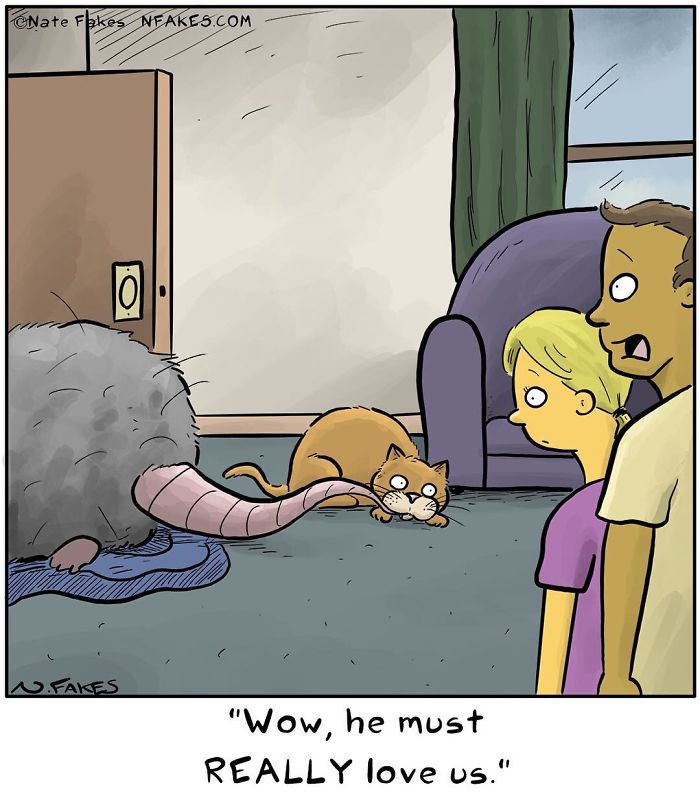 Cat owner comic shows a cat playing with a giant furry toy, highlighting relatable cat owner humor.