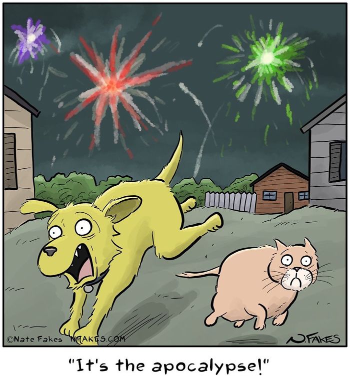 Cat and dog reacting fearfully to fireworks in a comic illustration relatable to cat owners and their pets.