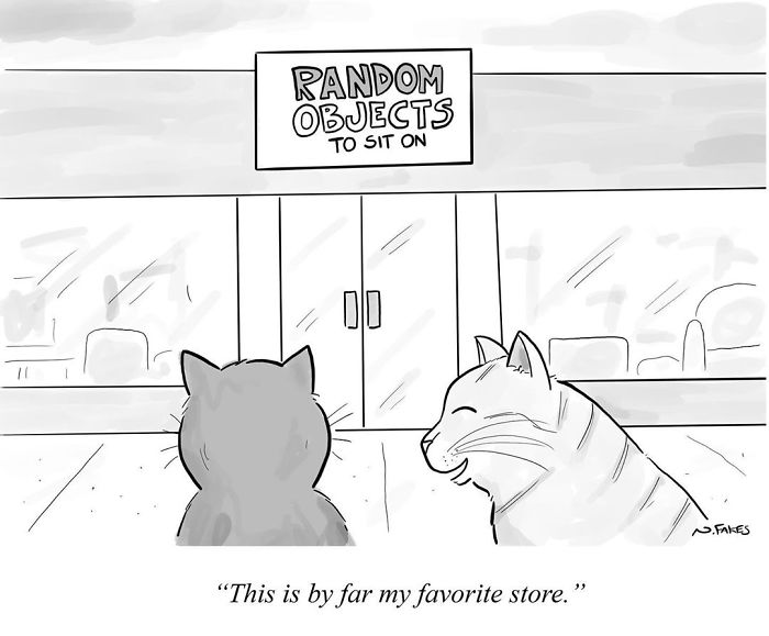 Cartoon of two cats outside a store called Random Objects to Sit On, humorous cat owners comic illustration.