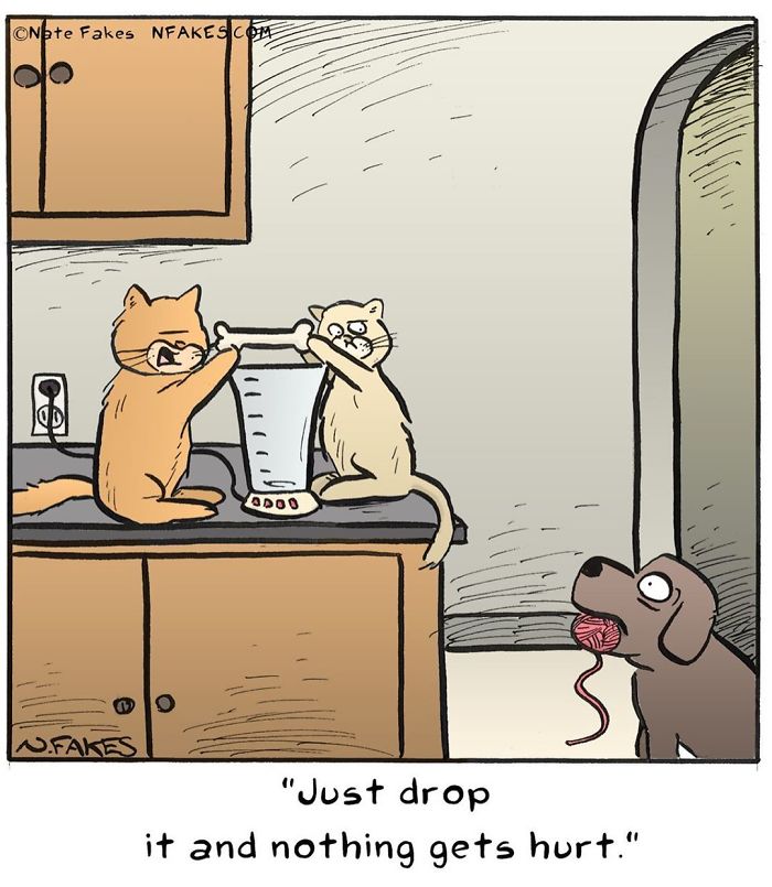 Two cats fighting over a bone on a kitchen counter with a dog holding yarn nearby in a relatable cat owner comic.