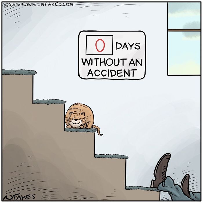 Cartoon of a cat sleeping on stairs with a zero days without accident sign and person fallen down the stairs.