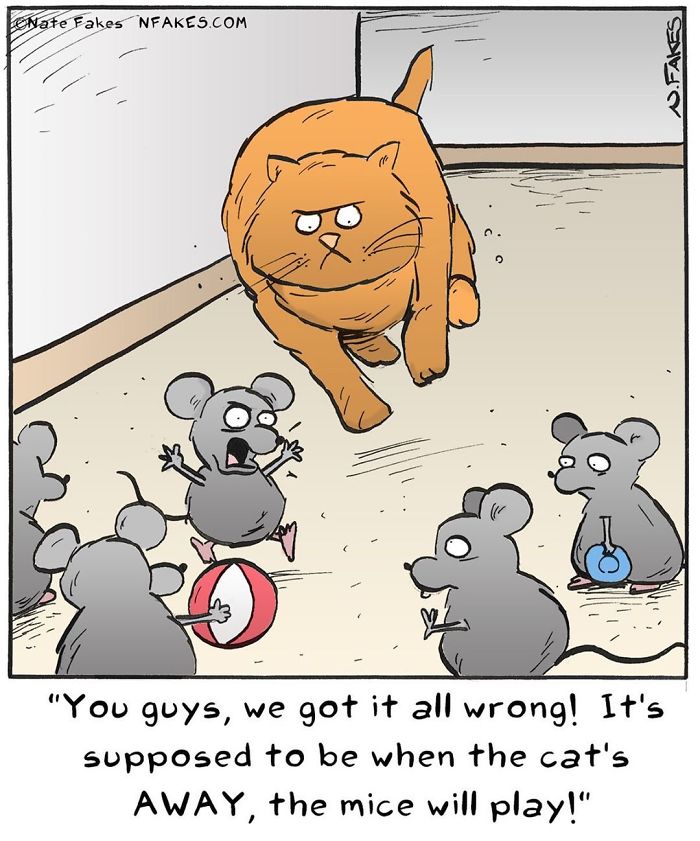 Cartoon of an angry cat chasing scared mice in a comic illustrating relatable cat owner humor.