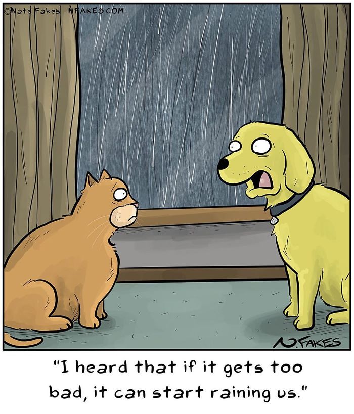Cat owner comic showing a cat and dog indoors worriedly watching heavy rain outside the window.