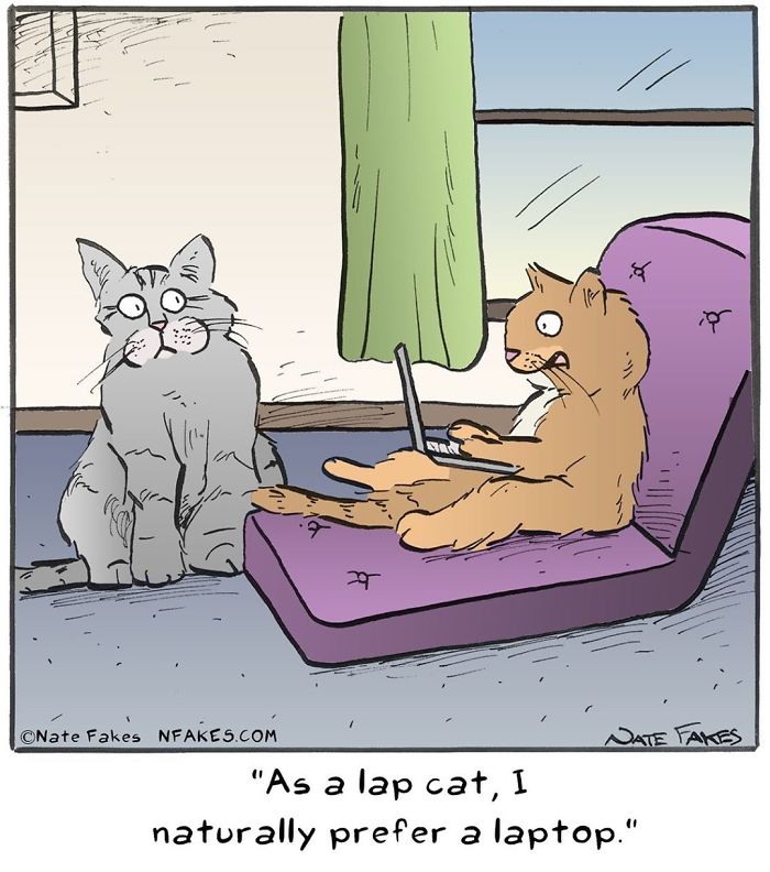Cartoon of two cats with one sitting on a chair using a laptop, illustrating relatable moments for cat owners in comics.