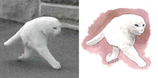 I Made Some Meme Cats Watercolors Because I Love Them