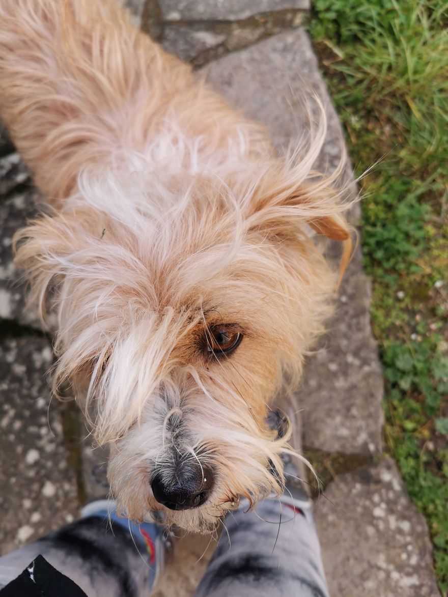 I Walked (Part Of) The Camino De Santiago With My Brother And 87-Year-Old Grandad I Walked (Part Of) The Camino De Santiago With My Brother And 87-Year-Old Grandad