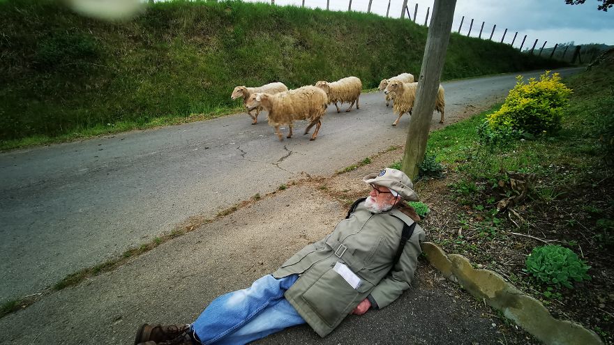 I Walked (Part Of) The Camino De Santiago With My Brother And 87-Year-Old Grandad