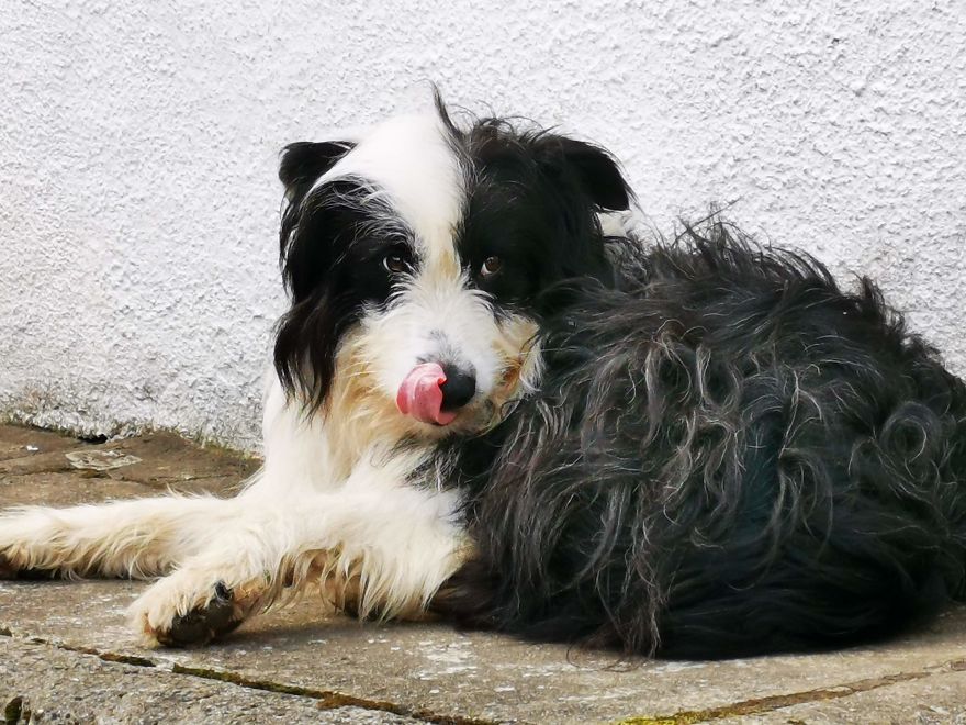 I Walked (Part Of) The Camino De Santiago With My Brother And 87-Year-Old Grandad I Walked (Part Of) The Camino De Santiago With My Brother And 87-Year-Old Grandad