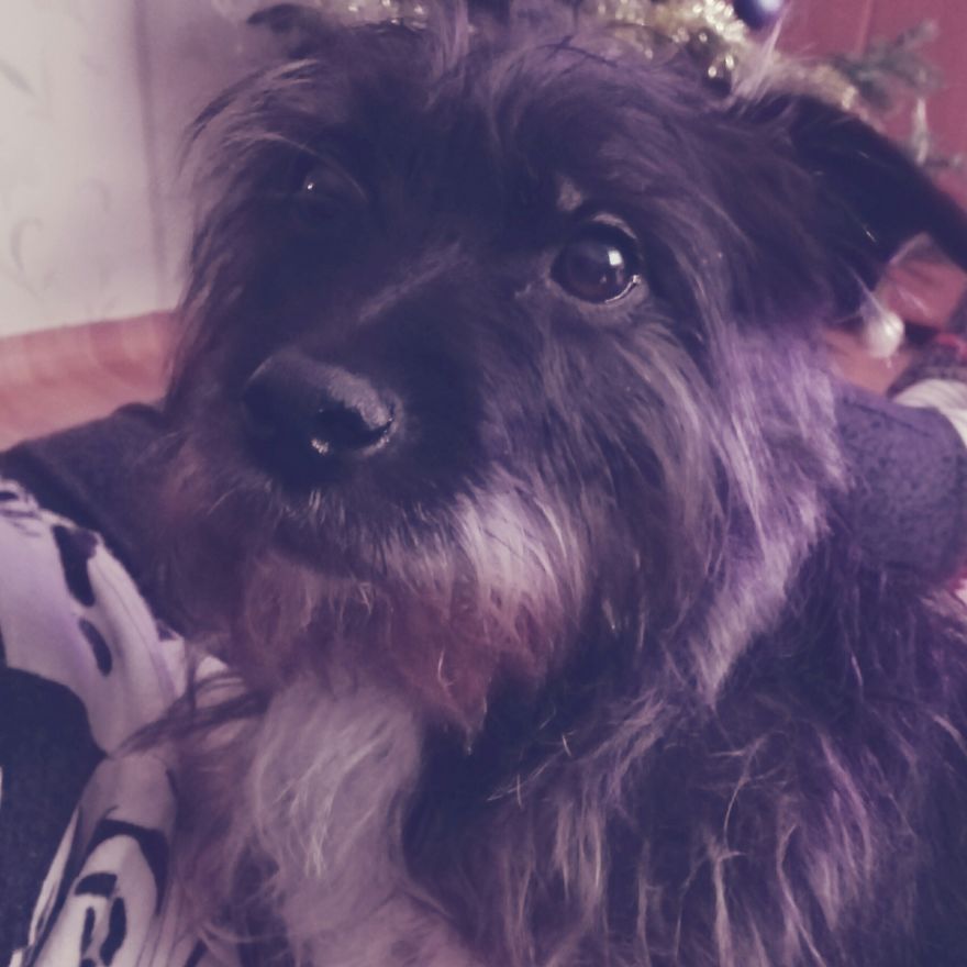 Bored Chicka Wants To Say Hello To Bored Pandas!