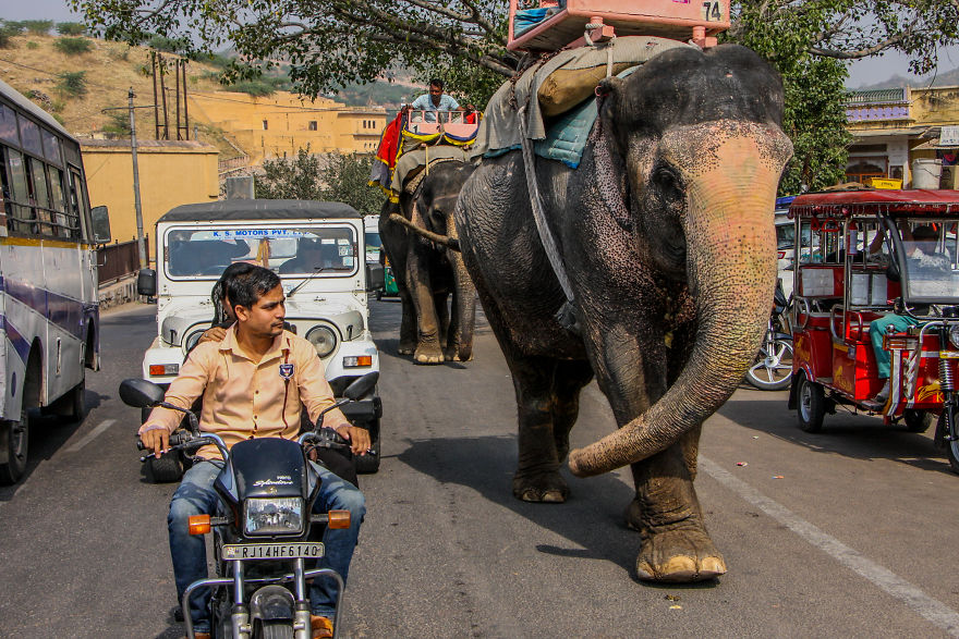 12 Pictures Of Traffic In India That Might Make You Rethink Your Traffic Problems