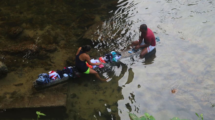 Gender Parity, Palomino