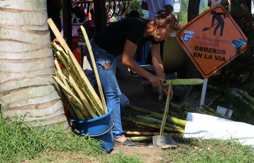 Cane Sugar Treatment, Salento