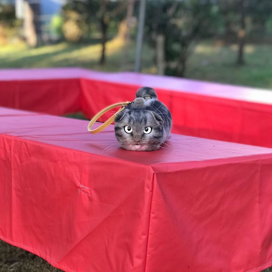 This Japanese Artist Continues To Create Cat Bags (New Pics)