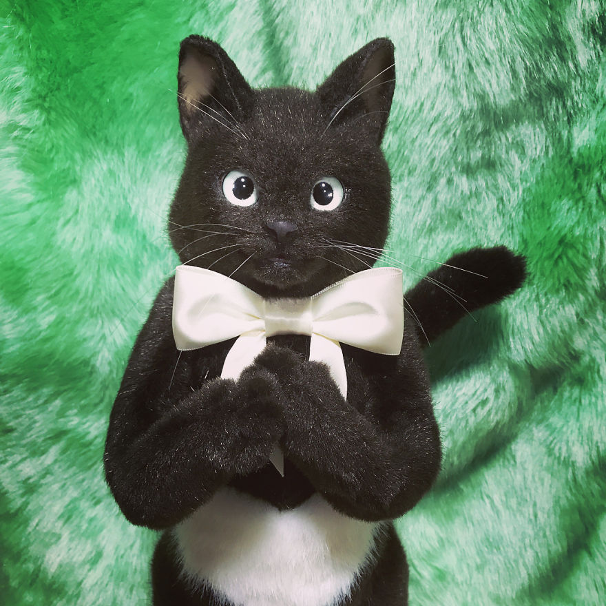 This Japanese Artist Continues To Create Cat Bags (New Pics)