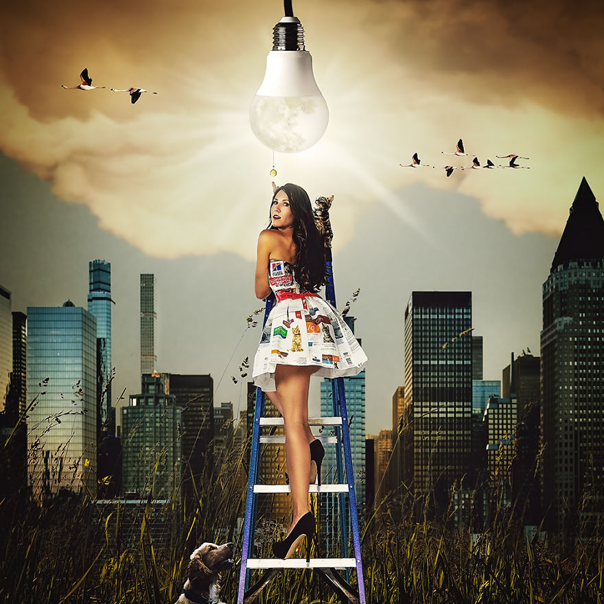 Danielle Coggins In Cat Food Bag Strapless Cocktail Dress