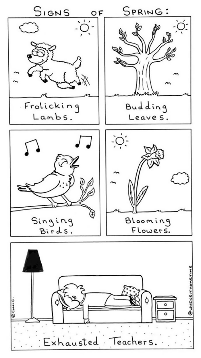 Life As A Teacher...! Part 3!