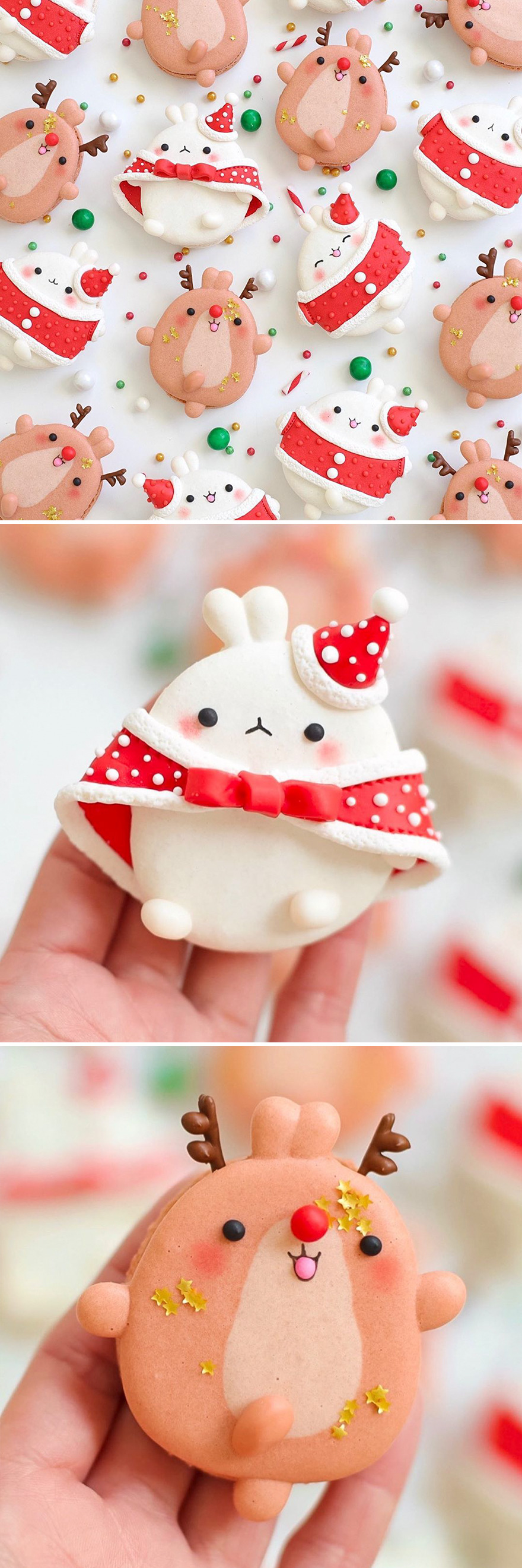 My Adorable French Macarons