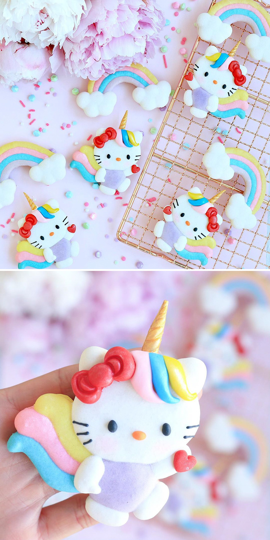 My Adorable French Macarons