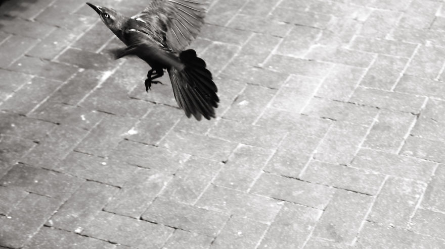 I Spent Lunch At The Rosa Parks Plaza In Dallas, Tx And Here's What I Saw