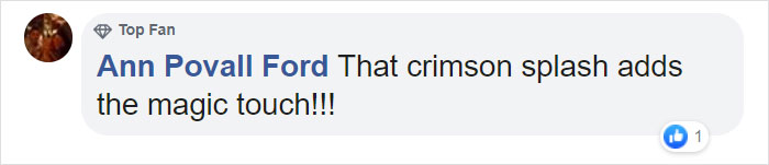 Comment by user Ann Povall Ford praising a crimson splash, related to the Dracula Parrot, on a social media post.