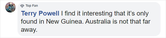 Comment by Terry Powell sharing interest in Dracula Parrot habitat, noting it is found only in New Guinea, near Australia. Comment by Terry Powell sharing interest in Dracula Parrot habitat, noting it is found only in New Guinea, near Australia.