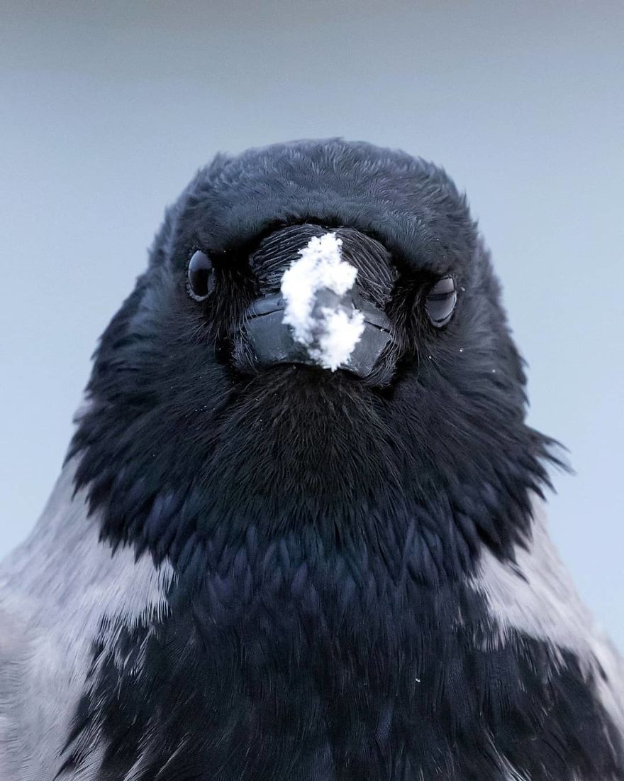 Photographer Shows Finland's Forests That Seem To Have Come Straight Out Of A Fairy Tale (New Pics)