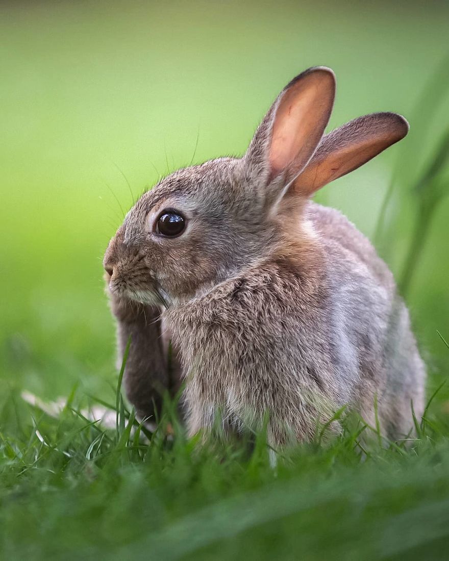 Photographer Shows Finland's Forests That Seem To Have Come Straight Out Of A Fairy Tale (New Pics)