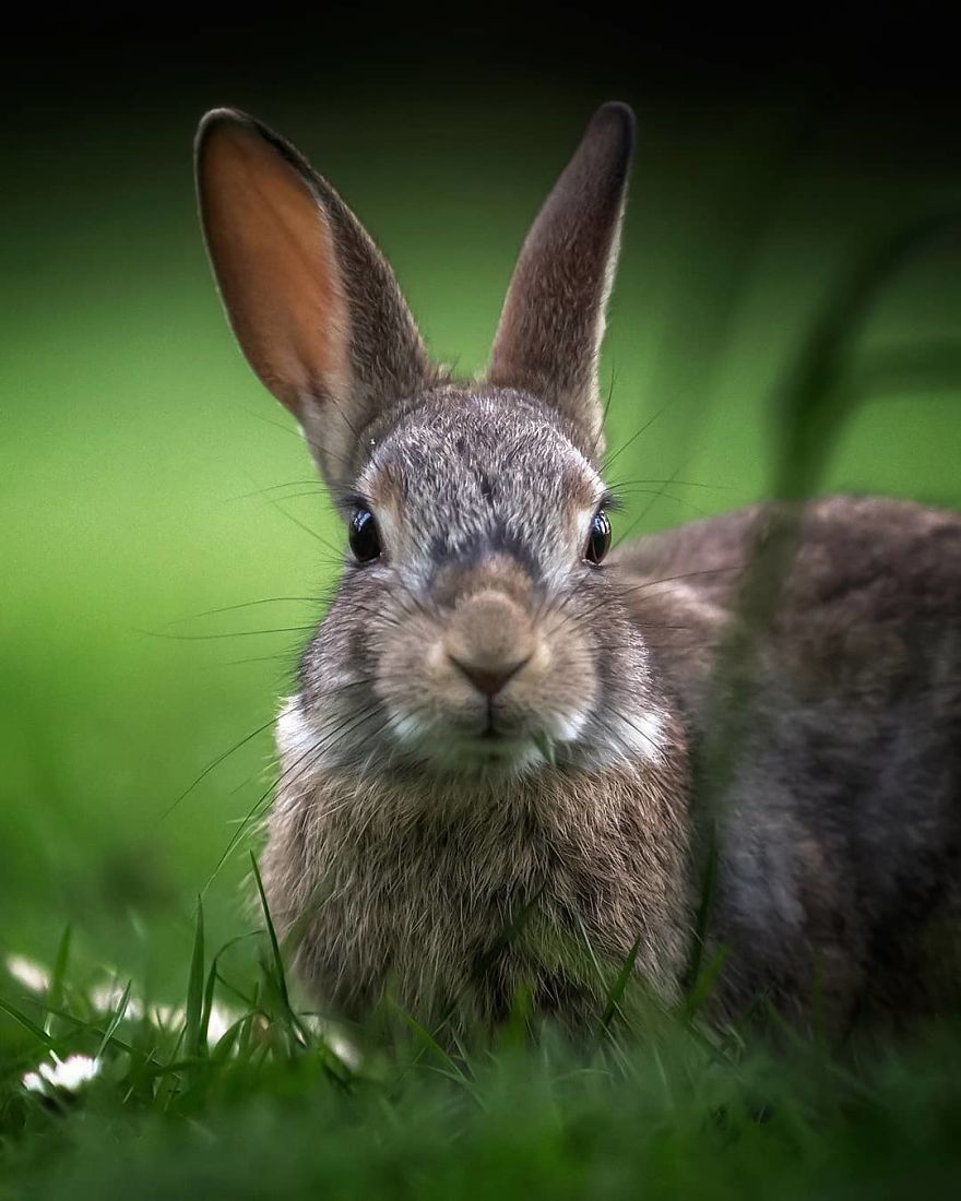 Photographer Shows Finland's Forests That Seem To Have Come Straight Out Of A Fairy Tale (New Pics)