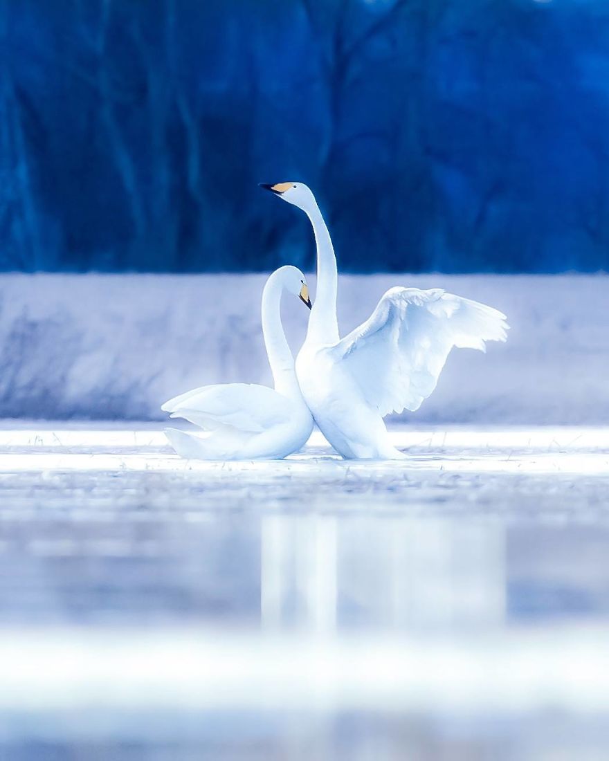 Photographer Shows Finland's Forests That Seem To Have Come Straight Out Of A Fairy Tale (New Pics)