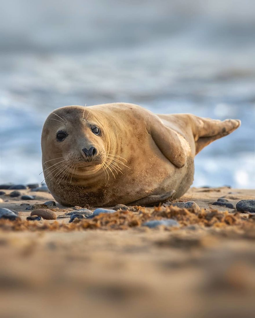 Photographer Shows Finland's Forests That Seem To Have Come Straight Out Of A Fairy Tale (New Pics)