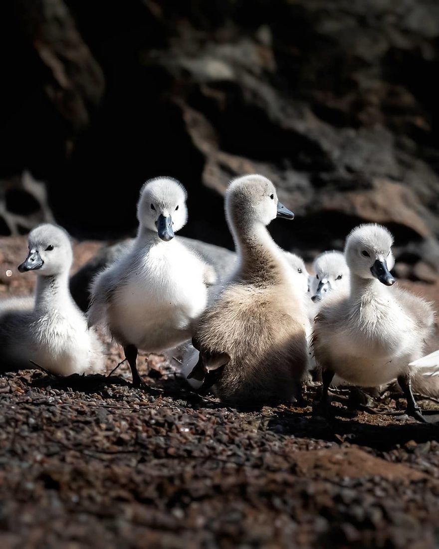 Photographer Shows Finland's Forests That Seem To Have Come Straight Out Of A Fairy Tale (New Pics)