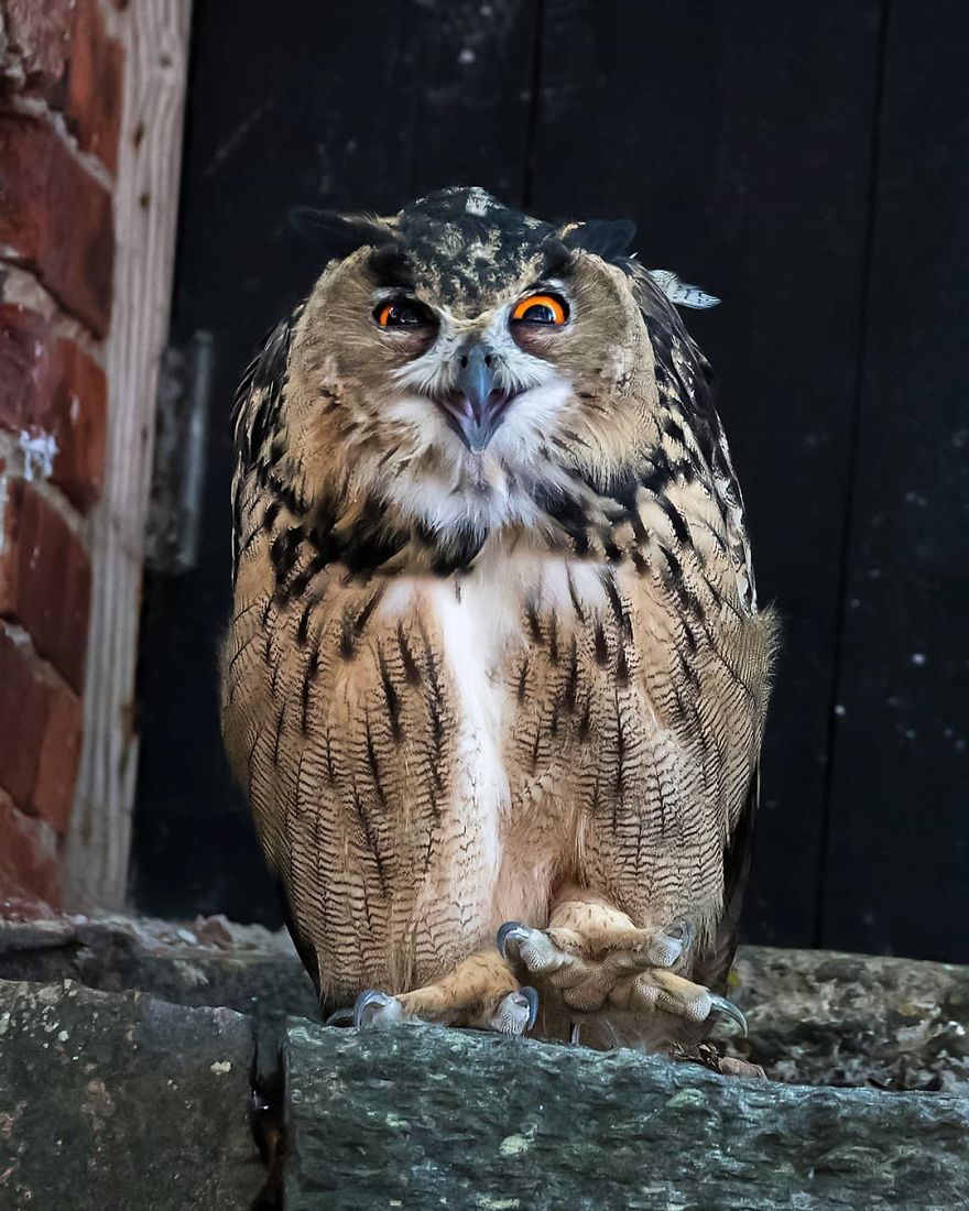 Photographer Shows Finland's Forests That Seem To Have Come Straight Out Of A Fairy Tale (New Pics)