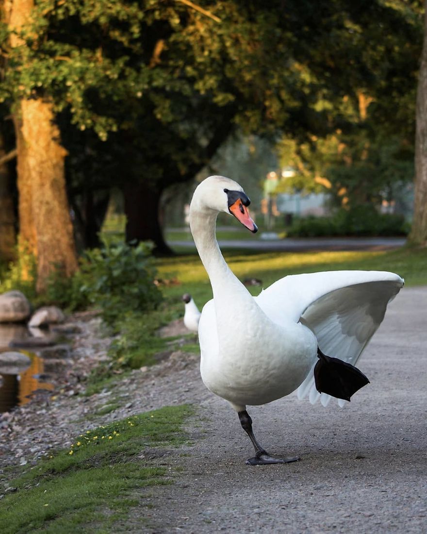 Photographer Shows Finland's Forests That Seem To Have Come Straight Out Of A Fairy Tale (New Pics)